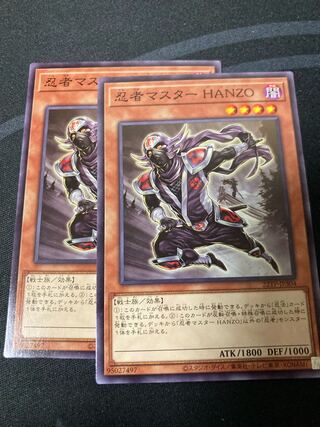 Ninja Grandmaster Hanzo Normal JP304