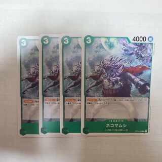 Pseudobagrus ichikawai (species of catfish)