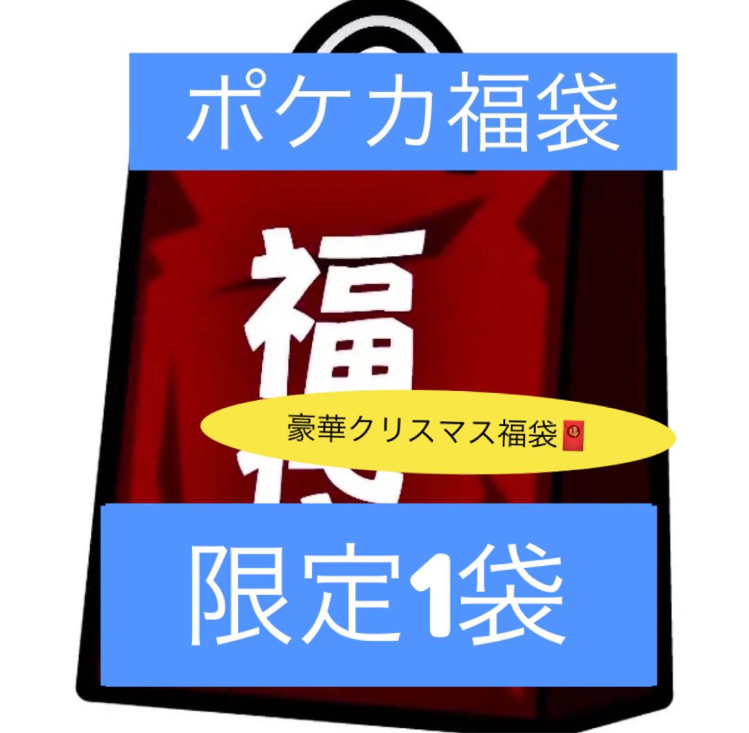 (即購入分1袋)豪華クリスマス福袋1袋限定