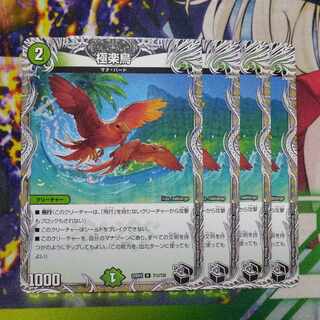 Birds of Paradise (Black Treasure) R T12/T20