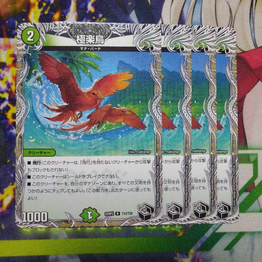 極楽鳥(黒トレジャー) R T12/T20