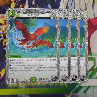 Birds of Paradise (Black Treasure) R T12/T20