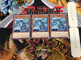 海亀壊獣ガメシエル 4 レア 3枚セット てら