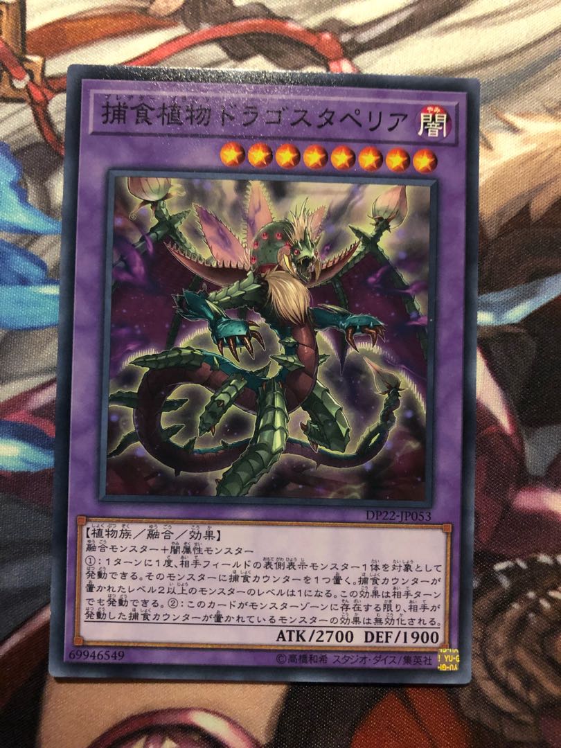 Predaplant Dragostapelia Normal JP053