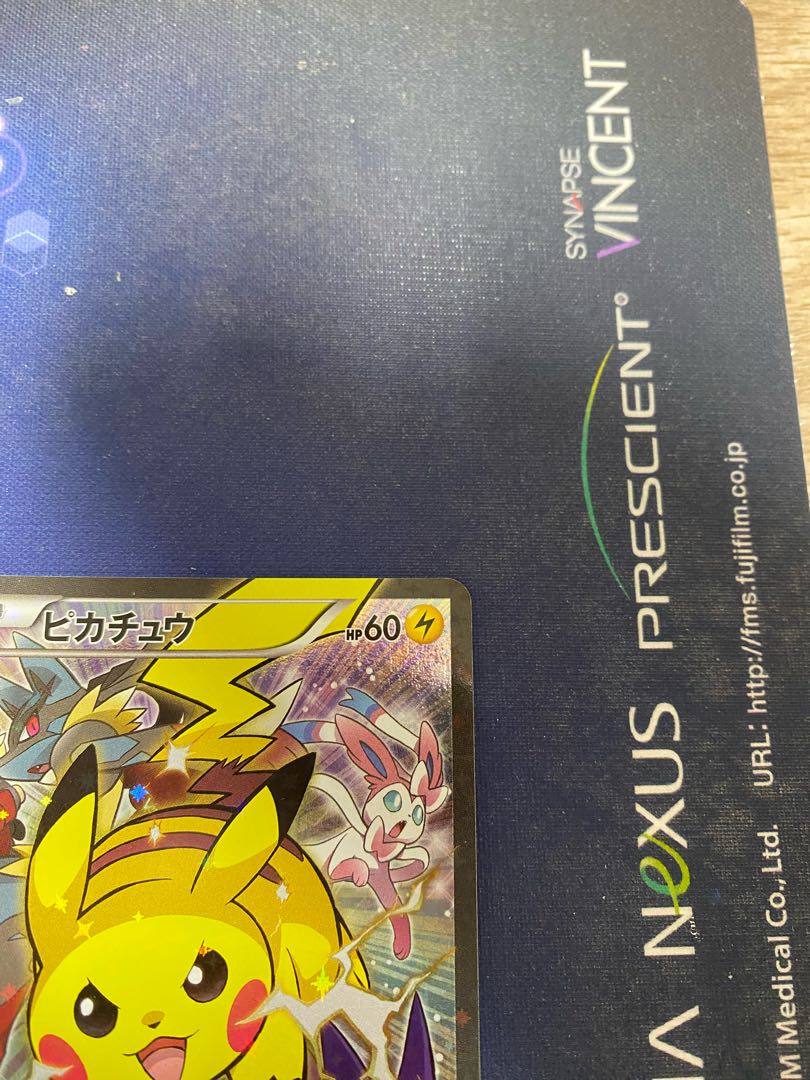 Pikachu Battle Festa 2014