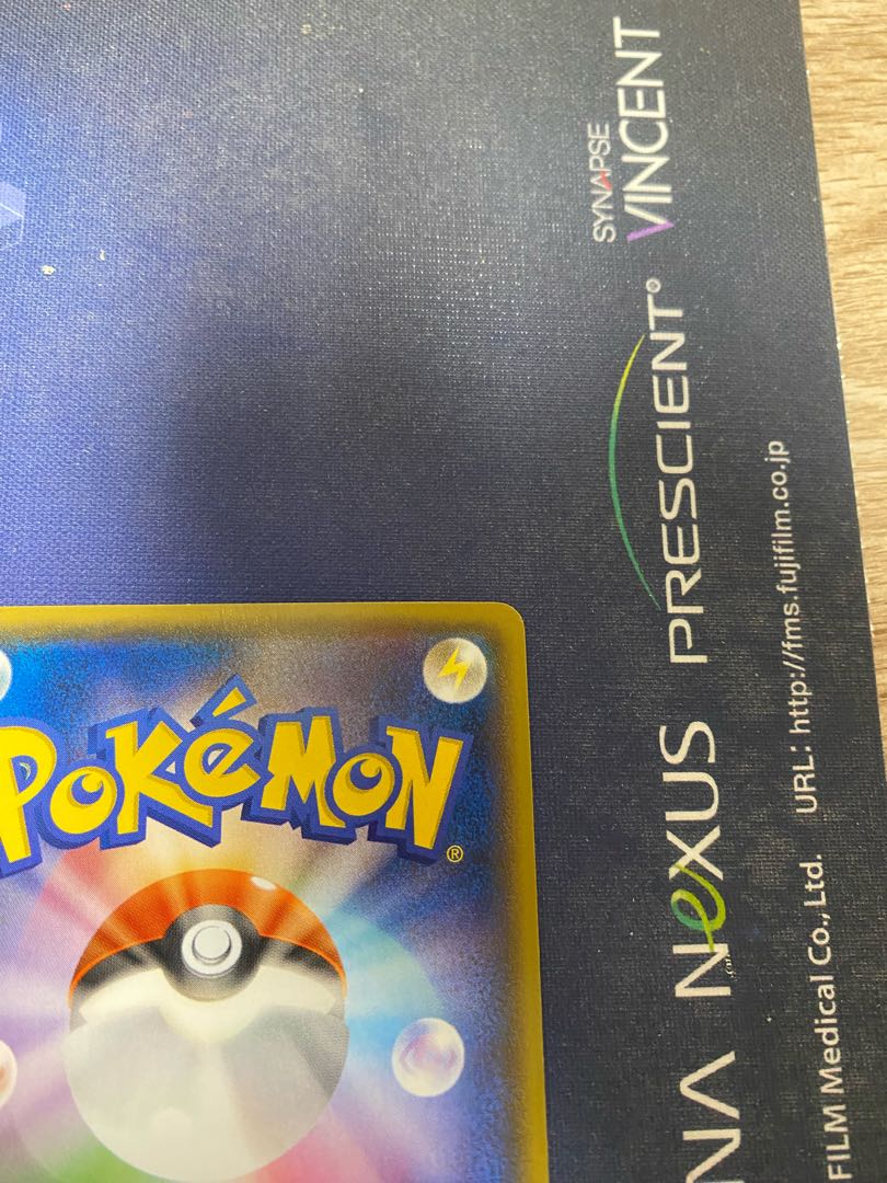 Pikachu Battle Festa 2014