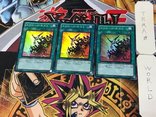 Swallow's Nest 1 Super Set of 3 Tera