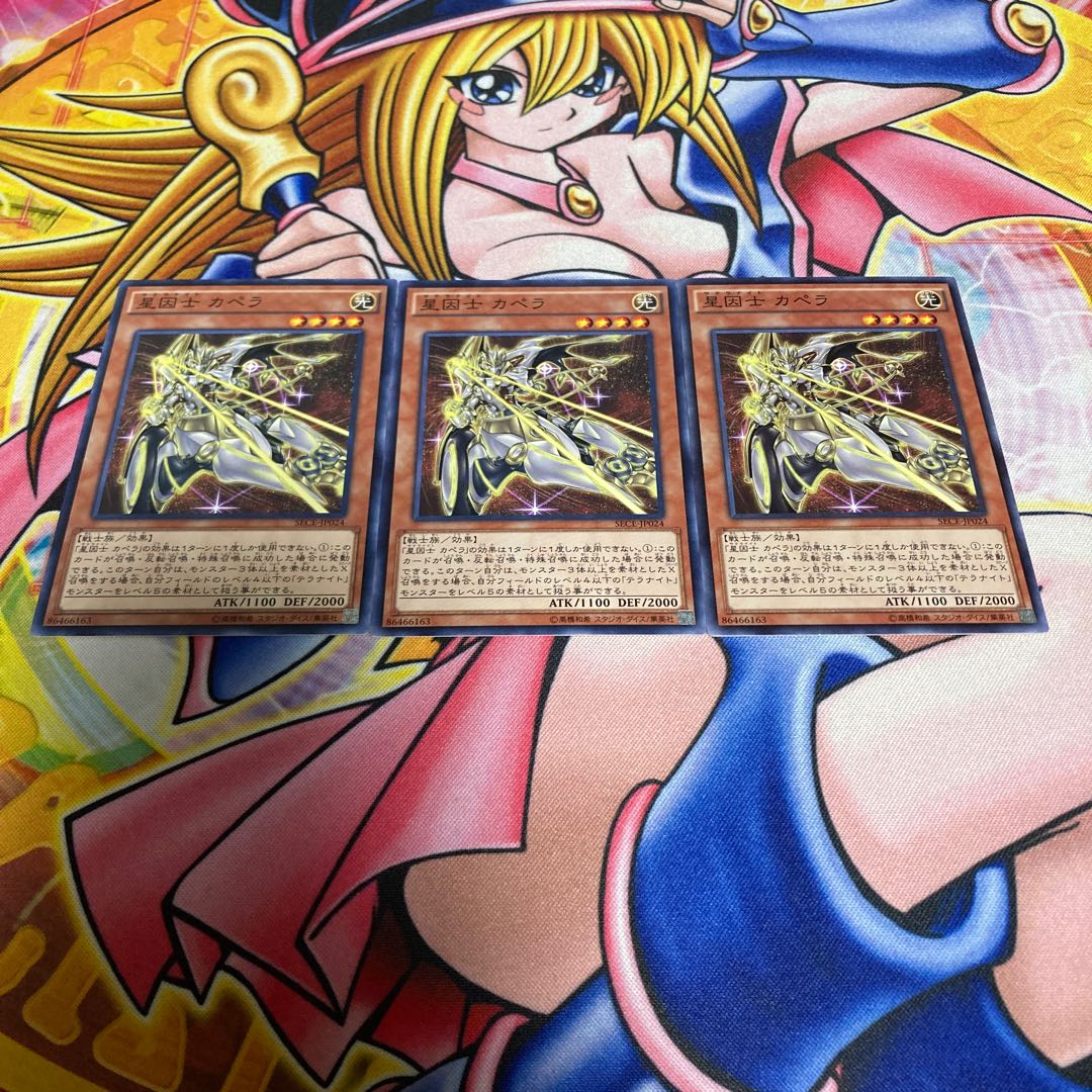 星因士 カペラ ノーマル JP024