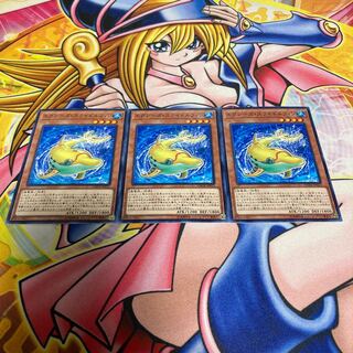 エクシーズ・スライドルフィン ノーマル JP023