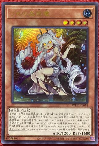 Traptrix Genlisea Ultra Rare JP074