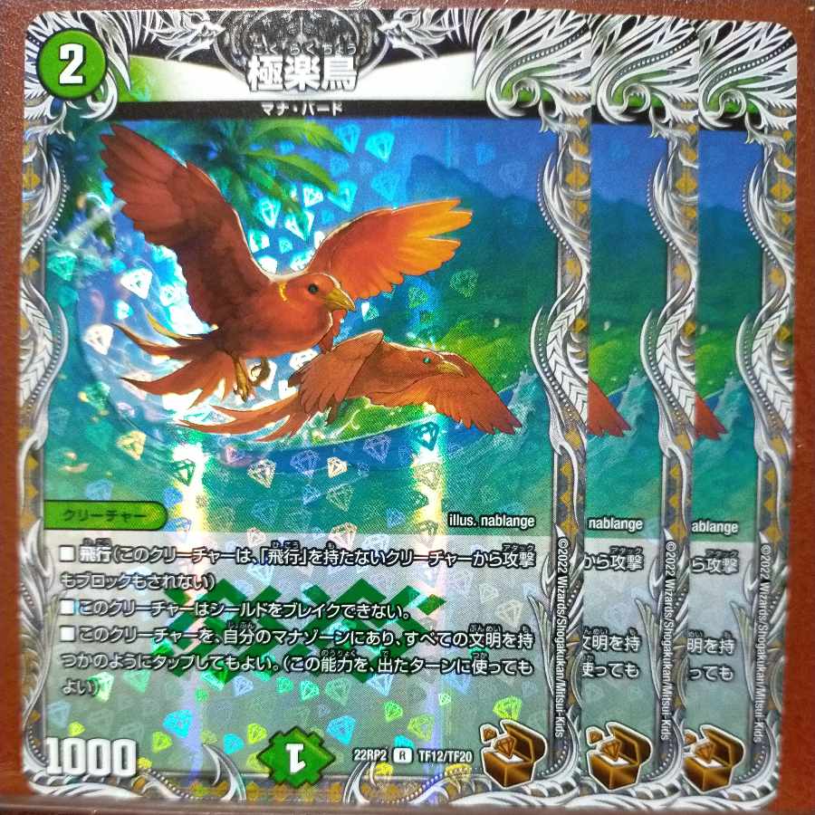 gnr set discount Birds of Paradise (copper treasure) R-foil TF12/TF20
