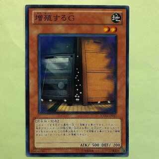 Maxx "C" Normal JP037