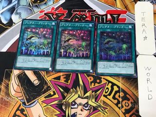 Predaponics 5 Super Set of 3 Tera