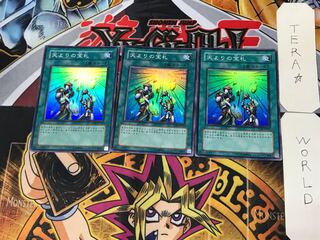 Card of Sanctity 1 Super 3-card set Tera