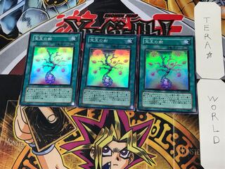 宝玉の樹 3 スーパー 3枚セット てら