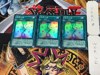 宝玉の樹 4 スーパー 3枚セット てら