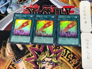 A Feather of the Phoenix 3 Super 3-pc. set Tera