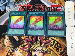 A Feather of the Phoenix 4 Super 3-pc. set Tera