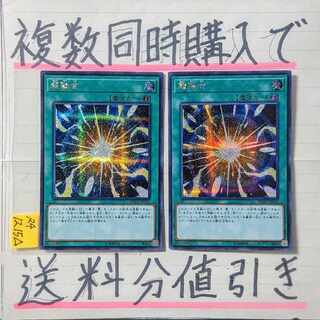 【複数同時購入で送料分値引き】超融合　シク×2枚