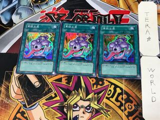 貪欲な壺 5 スーパー 3枚セット てら