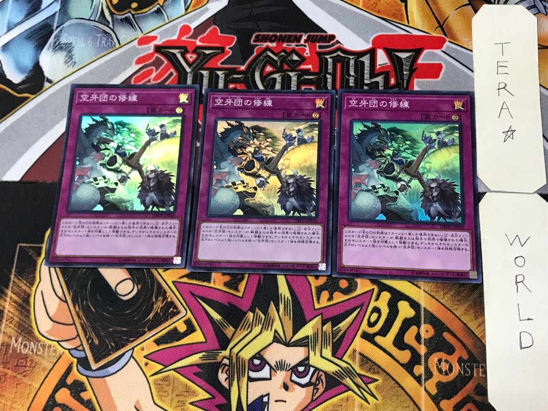 Training Fur Hire, Fur All Your Training Needs 2 Super Set of 3 Tera