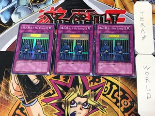 進入禁止！No Entry!! 1 スーパー 3枚セット てら