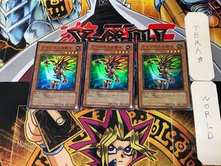 Amazoness Swords Woman 5 Super Set of 3 Tera