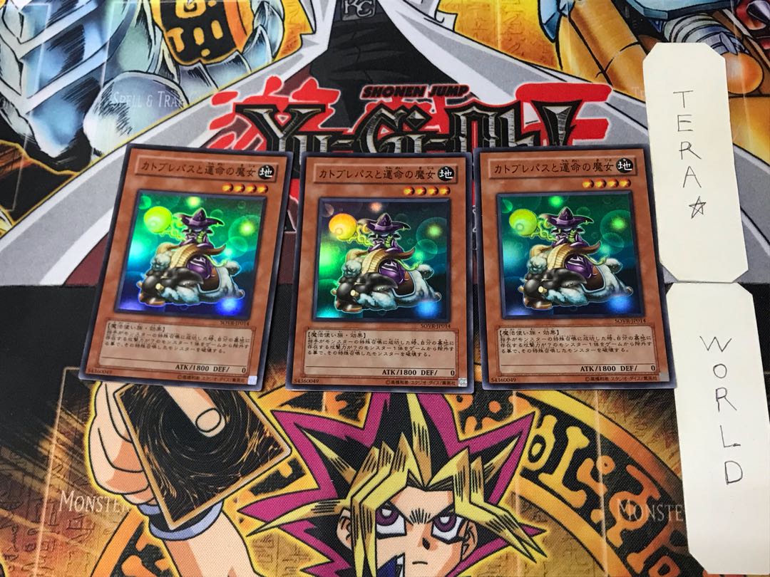 Catoblepas and the Witch of Fate 2 Super 3-card set Tera