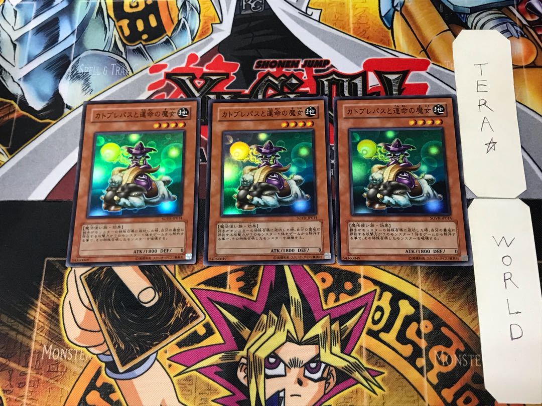 Catoblepas and the Witch of Fate 3 Super Set of 3 Tera