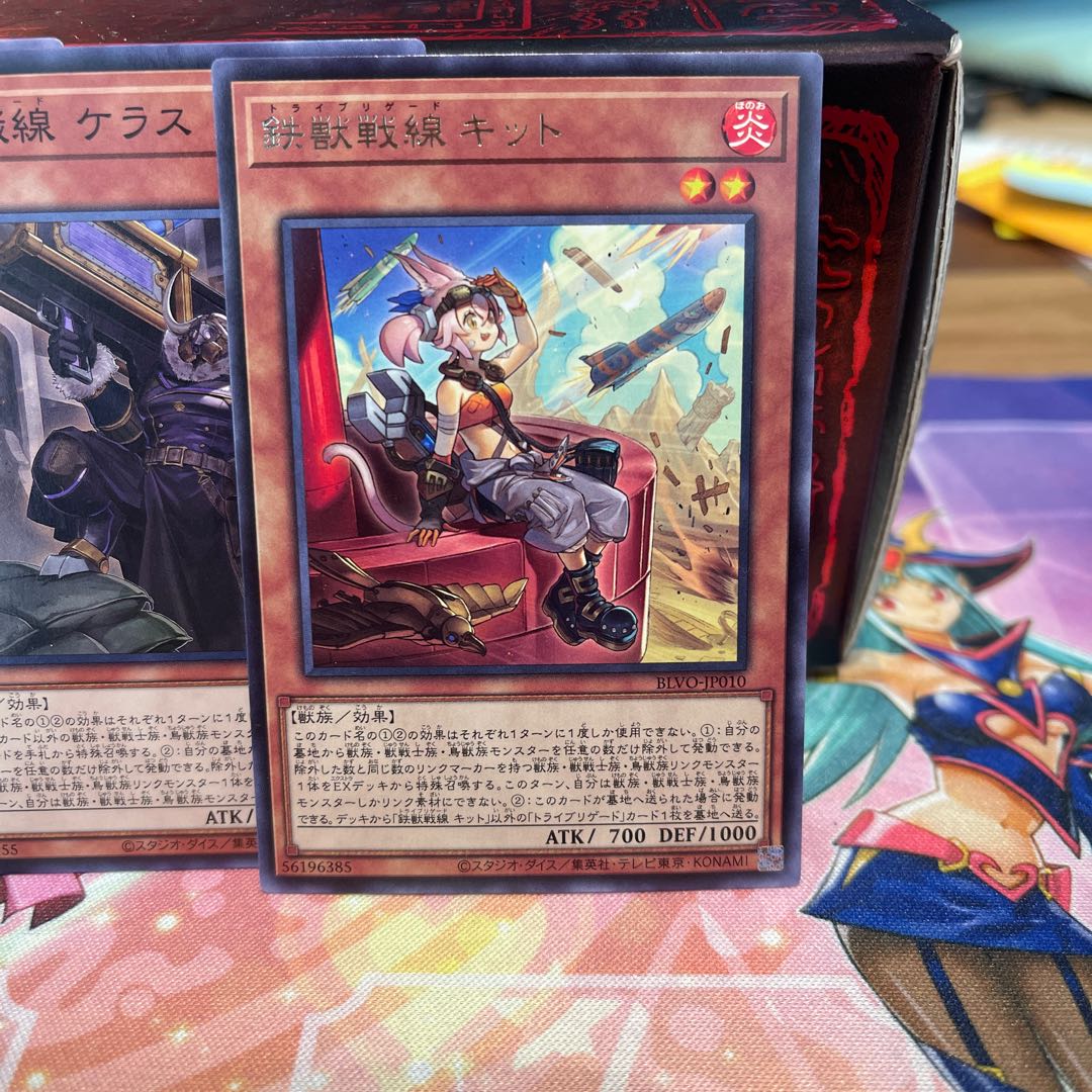 No.551 P shop Iron Beast Front set