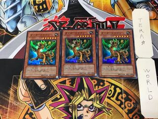 Tiger Dragon 5 Super Set of 3 Tera