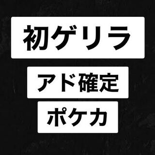初出品アド確定　福袋　オリパ　高評価2000