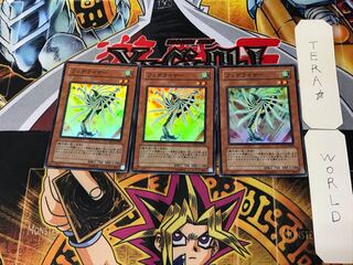 Fetelizer 4 Super Set of 3 Tera