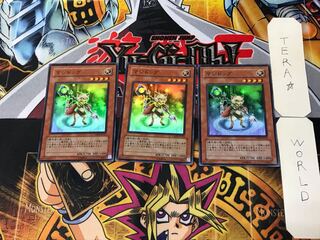 Magidog 2 Super Set of 3 Tera