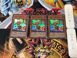 Master Monk 2 Super Set of 3 Tera