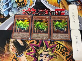 Prime Material Dragon 4 Super Set of 3 Tera