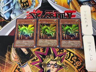 Prime Material Dragon 5 Super Set of 3 Tera