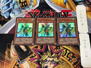 ローズ・バード 3 スーパー 3枚セット てら