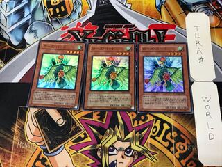 ローズ・バード 4 スーパー 3枚セット てら