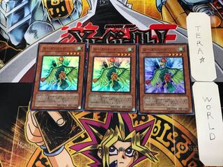 ローズ・バード 5 スーパー 3枚セット てら