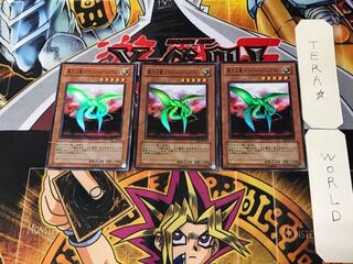 異次元竜 トワイライトゾーンドラゴン 3 スーパー 3枚セット てら