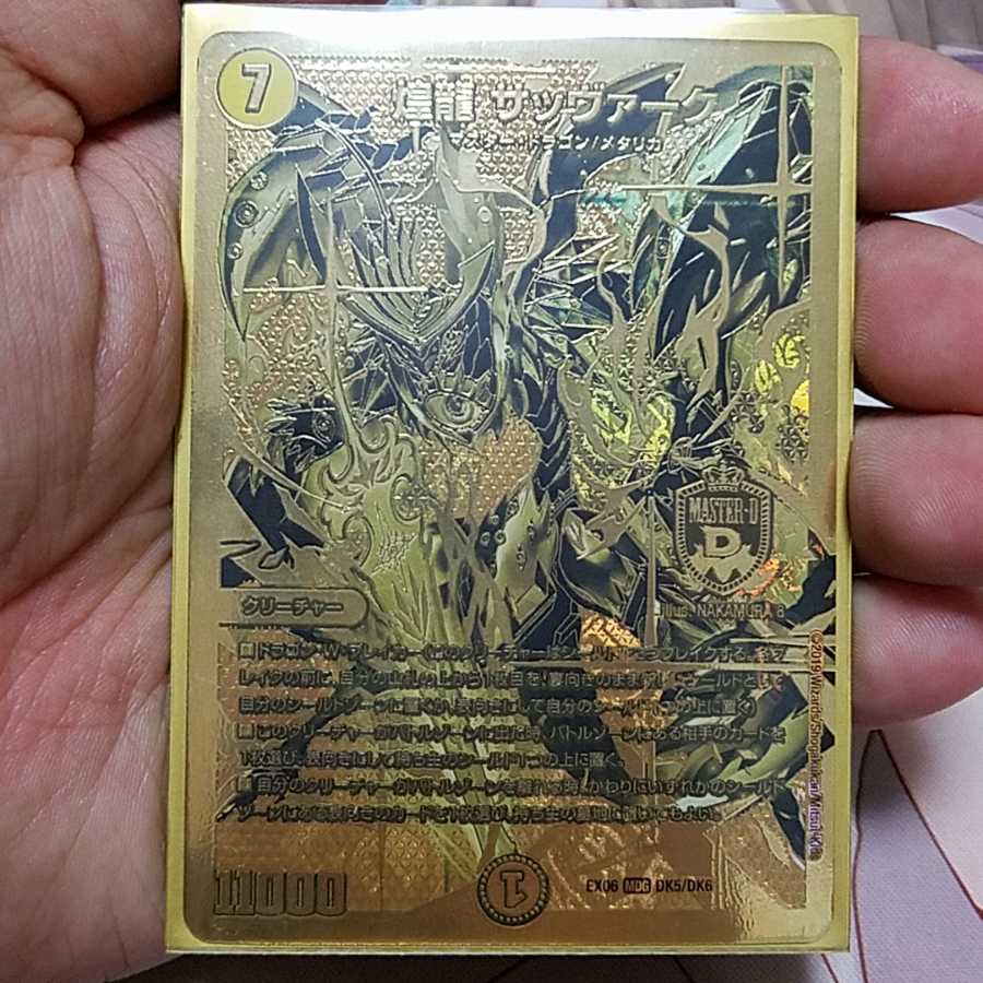 煌龍サッヴァーク