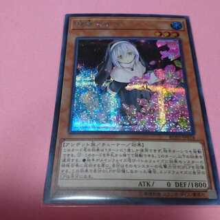 儚無みずき  はなみずき