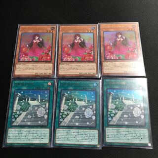 ローズ・プリンセスセット