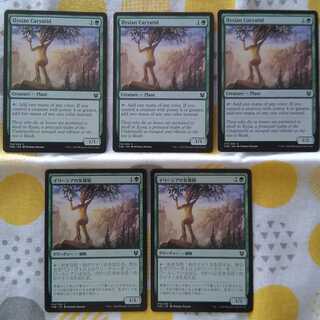 Ilysian Caryatid Set of 5 Japanese:2 English:3