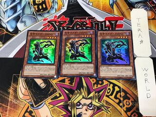 Ninja Grandmaster Hanzo 5 Super Set of 3 Tera