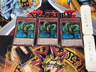 捕食植物ドロソフィルム・ヒドラ 1 スーパー 3枚セット てら