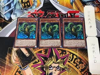 捕食植物ドロソフィルム・ヒドラ 2 スーパー 3枚セット てら