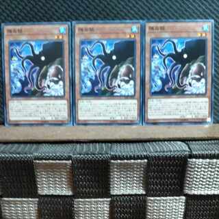 【ぽぽたん】遊戯王  #491  隅鳥賊 ノーマル3枚 3枚