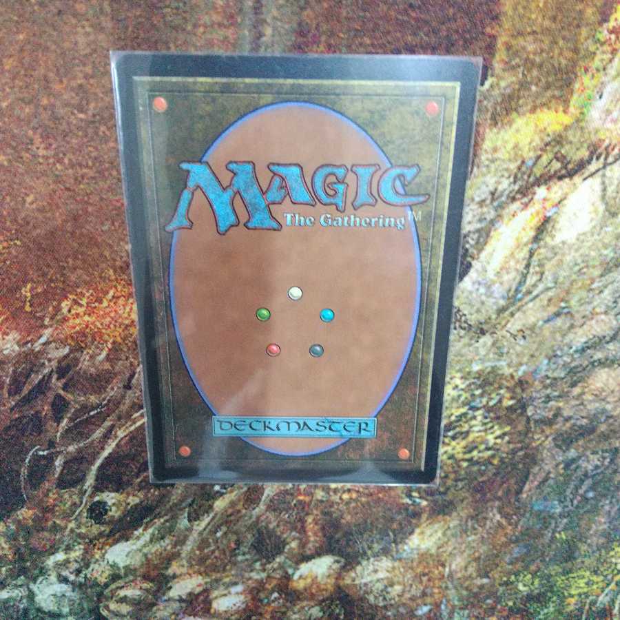 神聖なる泉 日本語 1枚